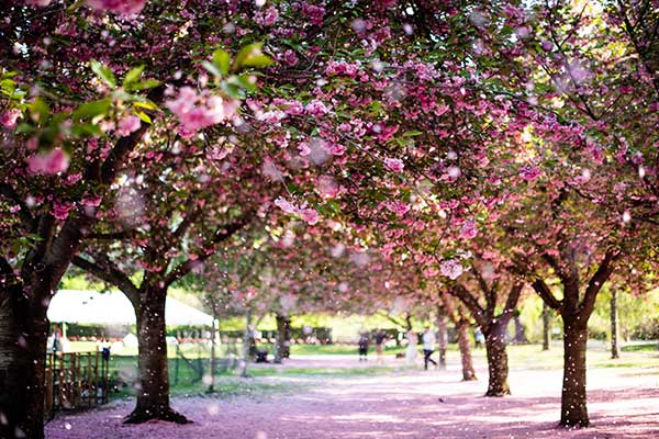 New York in April
